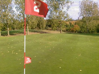 Leaves-on-the-green.jpg