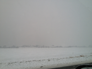 driving-in-the-snow-view.png