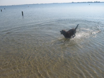 Luca-in-the-water.jpg