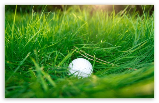 golf-ball-in-high-grass.png