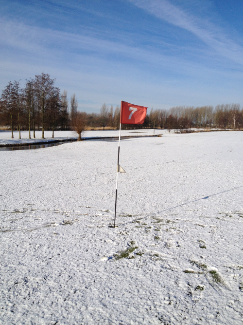 http://www.kiffingish.com/images/golfing-in-the-snow.png