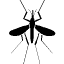 This is a mosquito.
