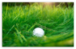 golf-ball-in-high-grass.png