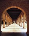 Stanford quad