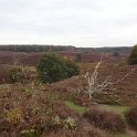 Walk near Arnhem, The Netherlands 2013