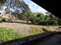 DSC01242