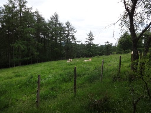 Urkiola Natural Park