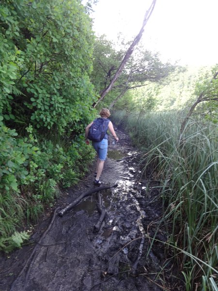 Plitvice Lakes - parts of the path were very muddy