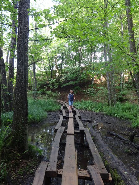 Plitvice Lakes - crude wooden planks over mud