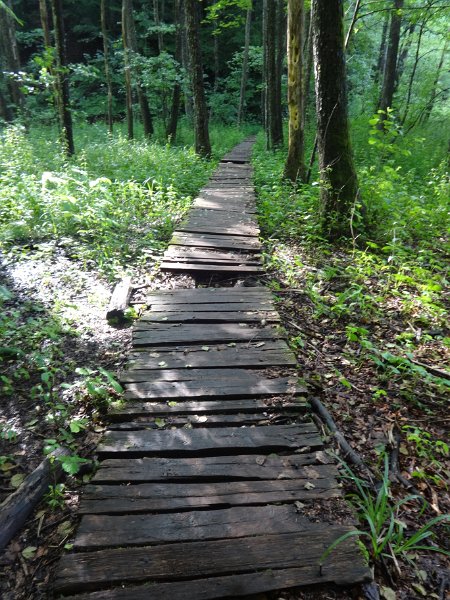 Plitvice Lakes - creaky wooden bridge