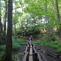 Plitvice Lakes - crude wooden planks over mud