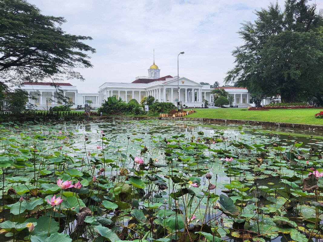 Bogor Botanical garden 4.