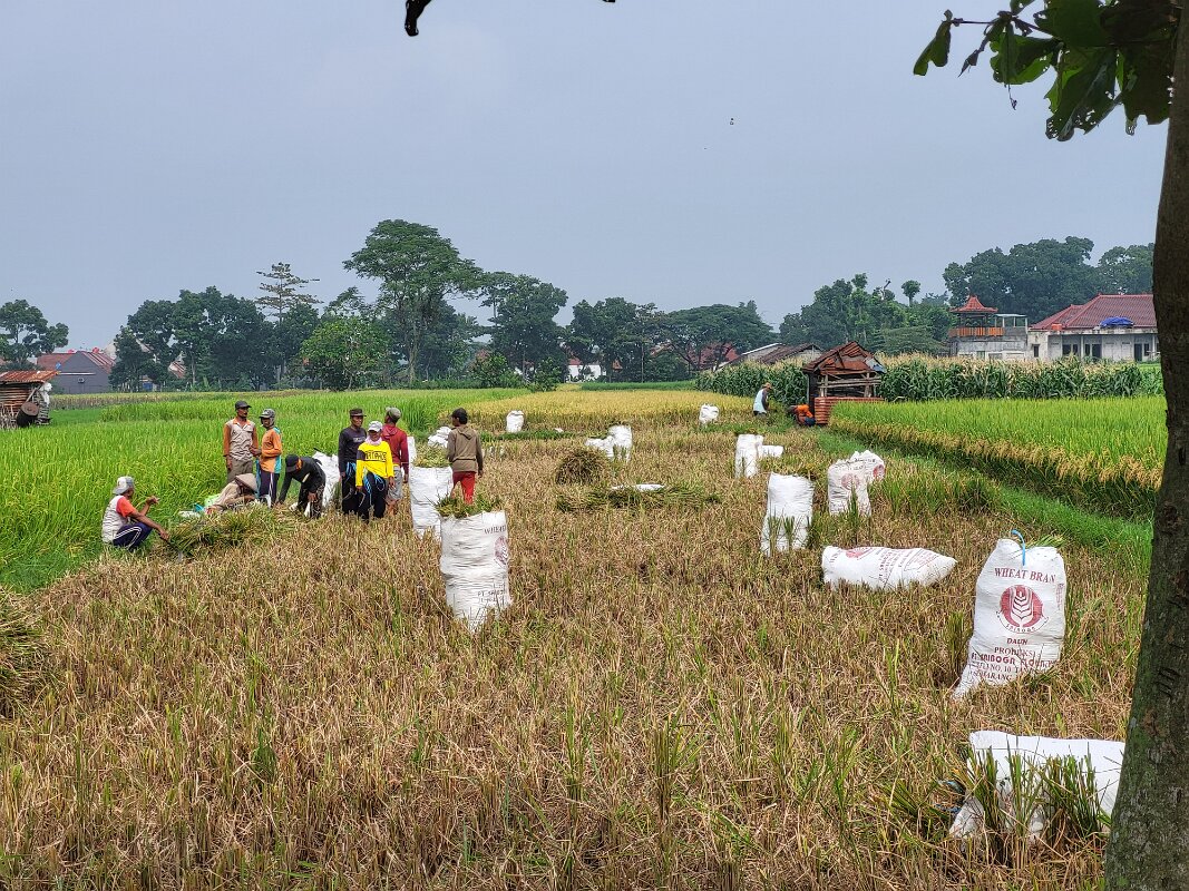 Yogjakarta - .Jogjakarta - Bike Tour 4.
