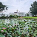 Bogor Botanical garden 4.