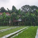 Yogjakarta - Bike Tour 2.