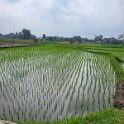 Yogjakarta -Jogjakarta - Bike Tour 5 .