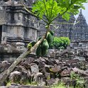 Yogjakarta - Prambanan temples 6 - More rubble.