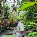 Krikilan - Plantage 5 - An  exotic heavenly paradise.