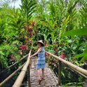 Krikilan - Plantage 16 - Crossing the bridge.