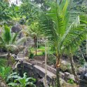 Pura Gunung Kawi 7 - Bridge.