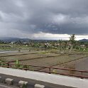 MAR  8 - Travelling to Semarang (captitol of East Java).