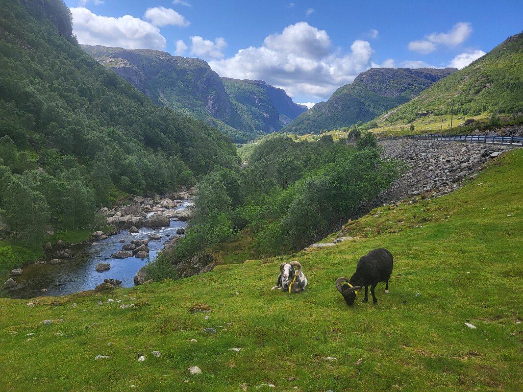 On the road - Typical beautiful scenery along the way.