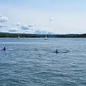 Oslo - Bus tour - View of the harbor.