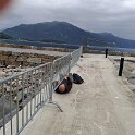 Balestrand - Anything to get an even better photo shot.