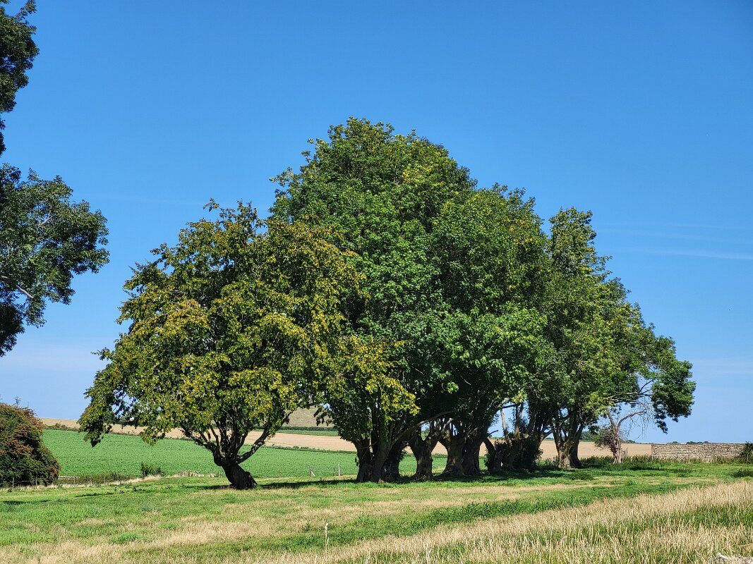 Waterloo - Hougoumont Farm.